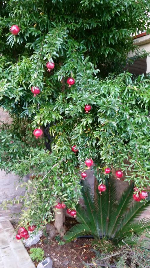 La Maison Jujube Morrovalle Bagian luar foto